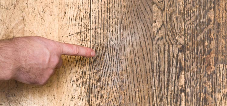 Wood Door Scratch Repair in San Carlos Park